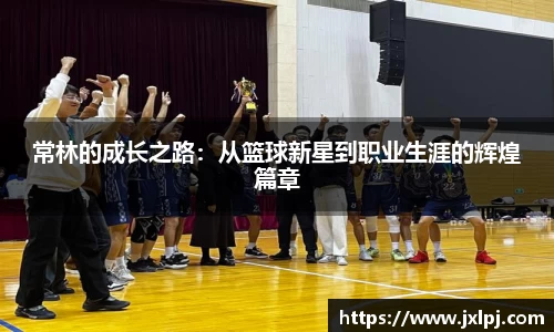 凤凰联盟平台